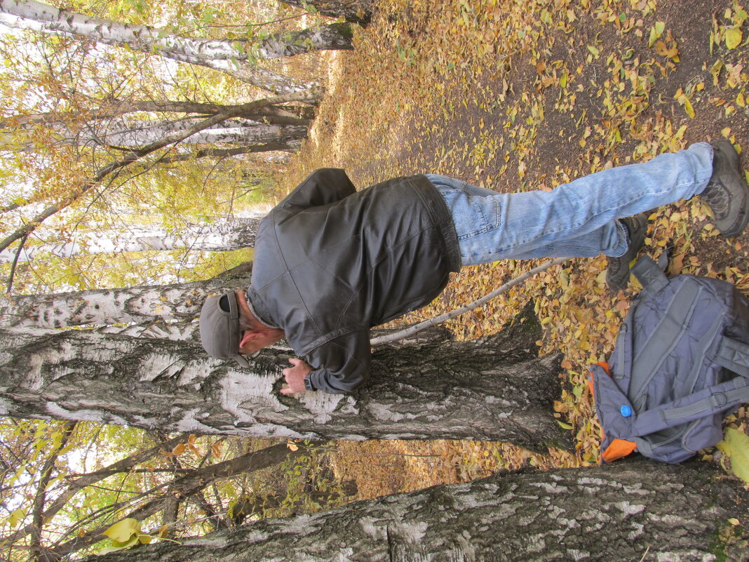 подправить рисунок - Елена Шаламова