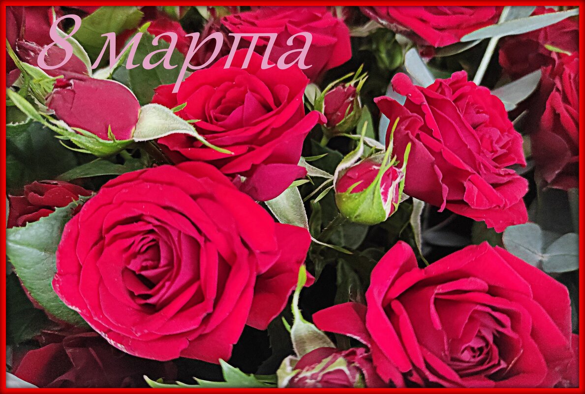 С наступающим праздником, дорогие подружки! - Татьяна Лютаева