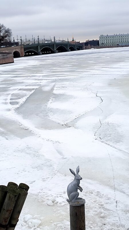 Зайчишка у Заячьего острова. - Ольга 