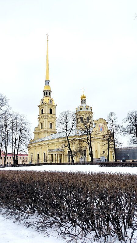 Петроавловский собор. - Ольга 