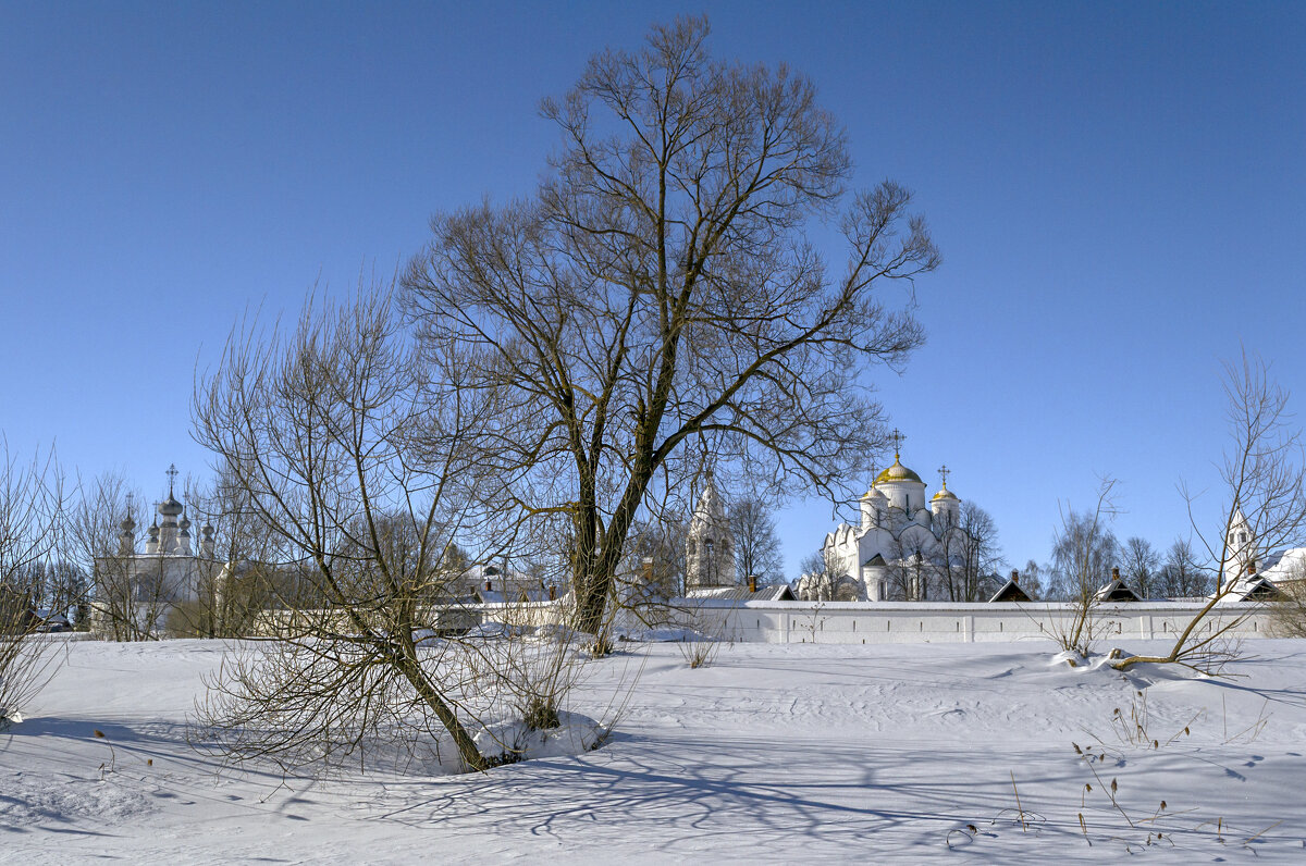 Покровский монастырь - Сергей Цветков