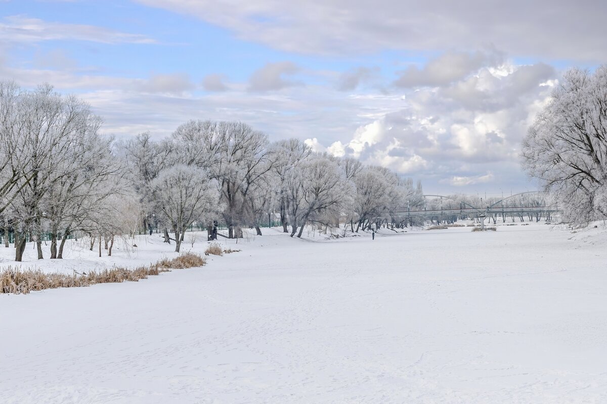 Снежная симфония весны ... - Ravile 