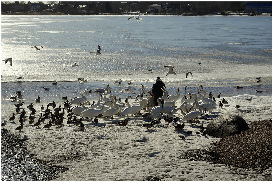 Весна наступила... - Aleksandr Gal