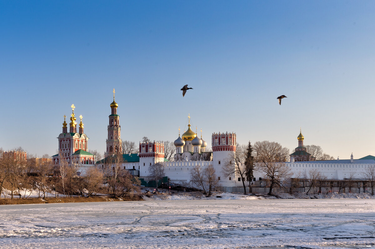 Новодевичий монастырь - Игорь Шевченко