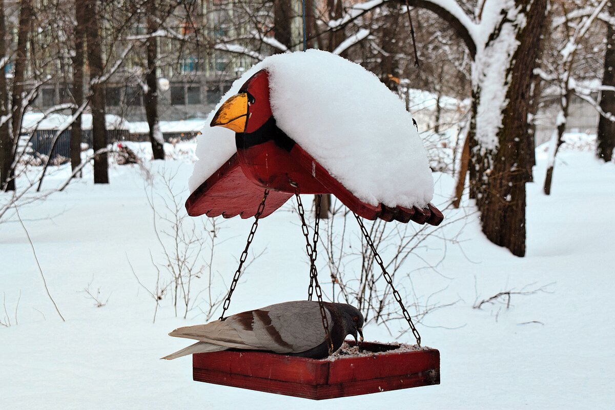 Перезимовали. - Татьяна Помогалова