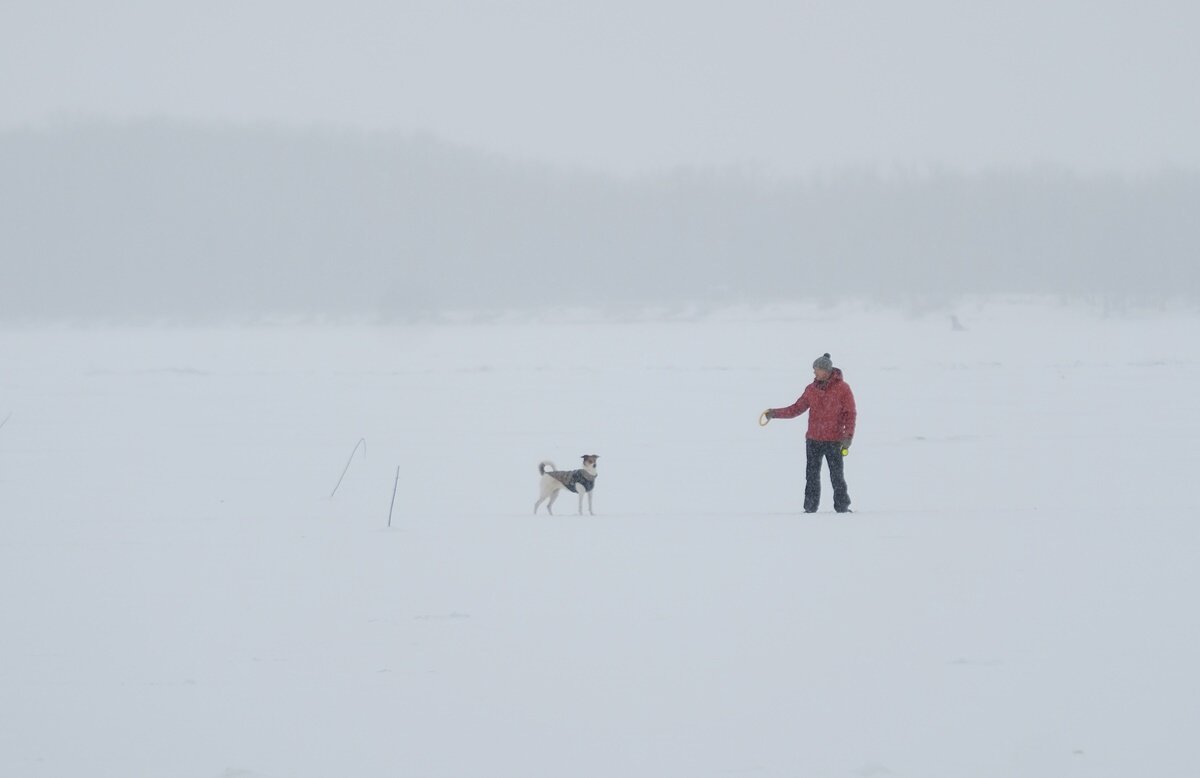 Метель и дружба... - Алекс Б-в