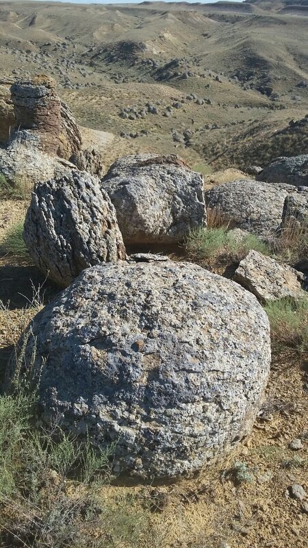 долина шаров - Ольга Косачова