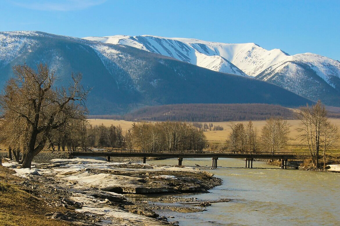 Мост через Чую (весна) - елена беликова