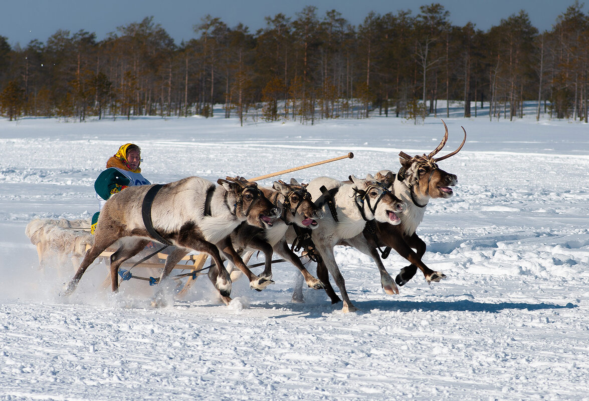 Есть женщины - Александр Лебедев