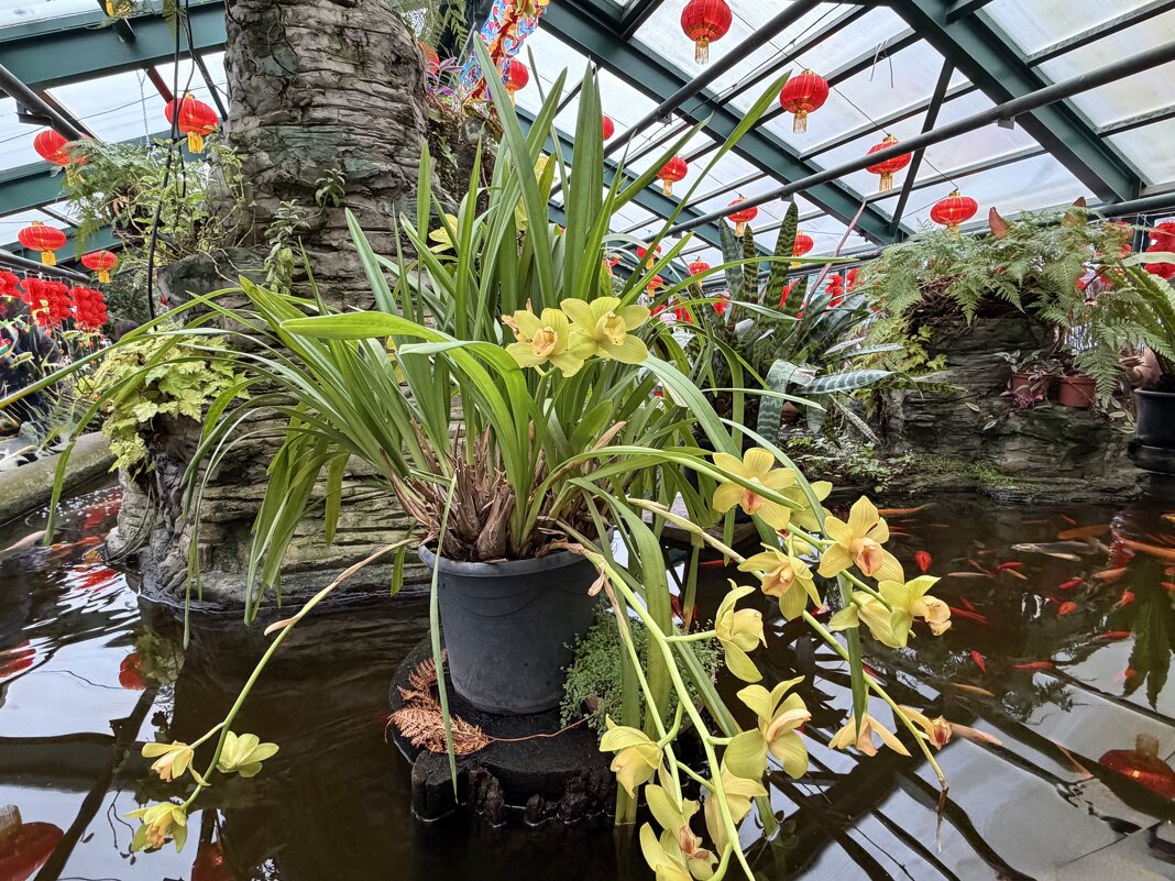 В оранжерее - Любовь 