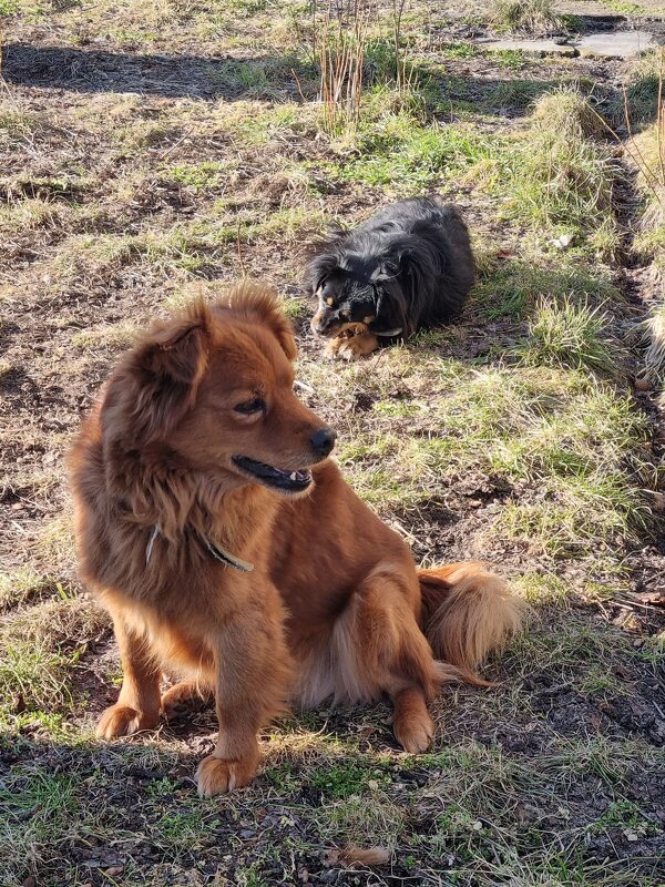 Весенняя улыбка :) - Наталья 