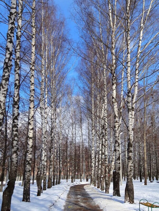 Начало марта - Наталья ***