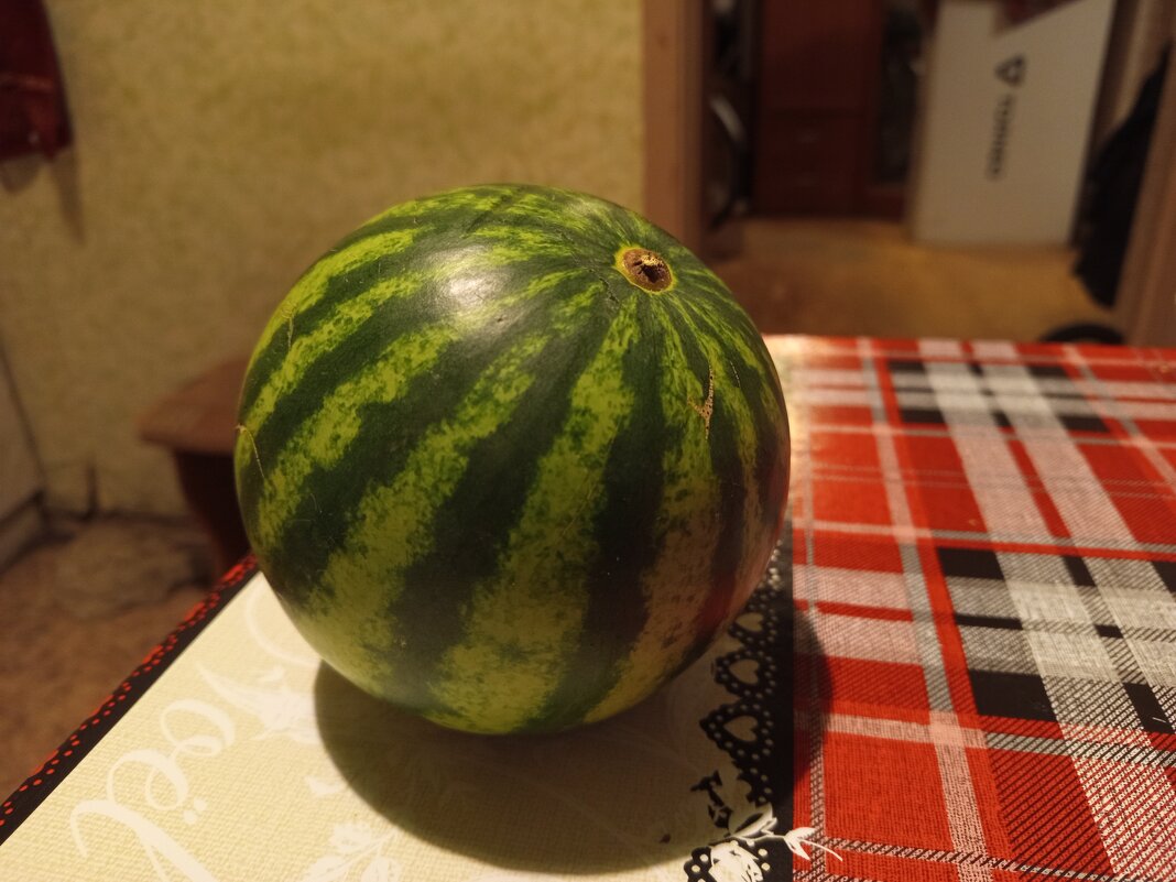 Не удержался: первый раз за 70,5 лет ел арбуз в марте - Андрей Лукьянов