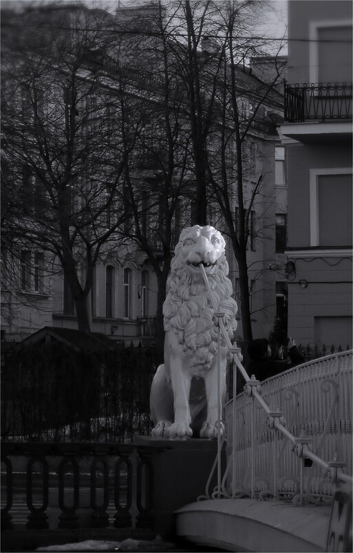 лев-беляк - sv.kaschuk 