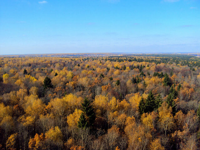 Троицк - Новая Москва - Tata Wolf