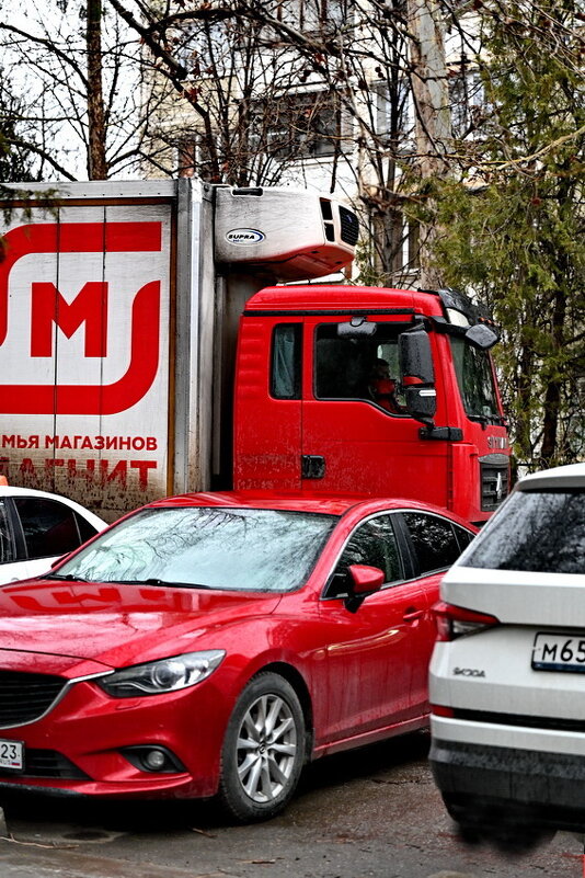 Про красный цвет... - Николай Саржанов