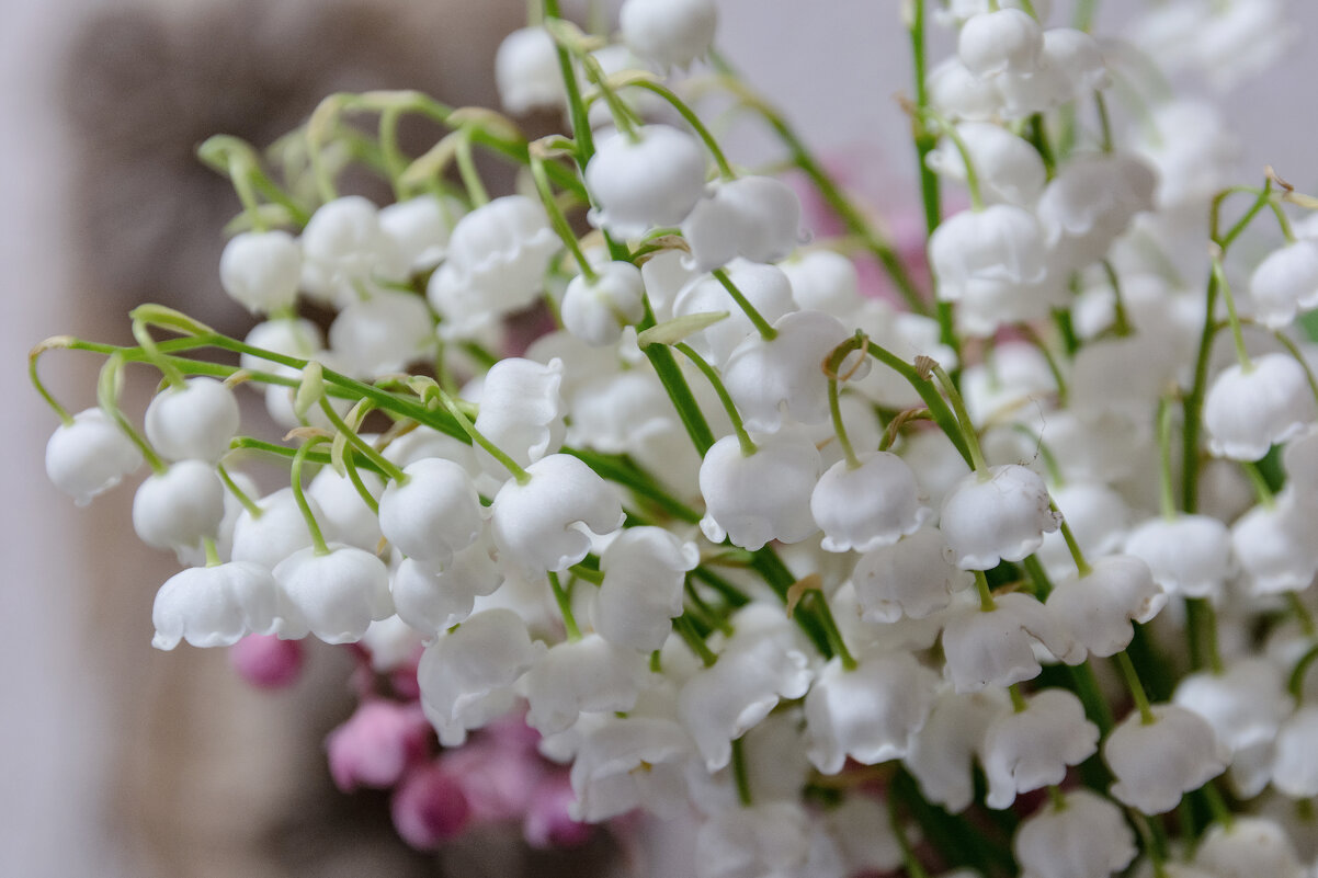С наступающим Праздником, дорогие женщины! - Виктор Иванович Чернюк