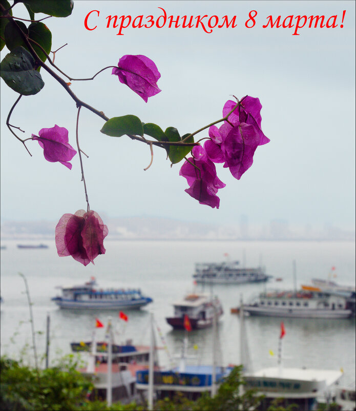 С праздником, дорогие фотобогини! - Валерий Готлиб