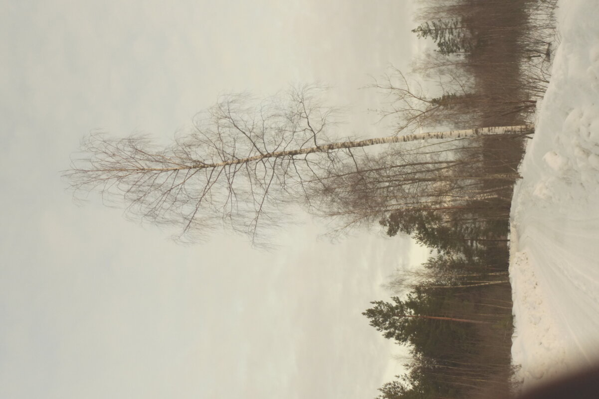 Мечты о Лейке 42. Объектив лейка. - Михаил Елочкин