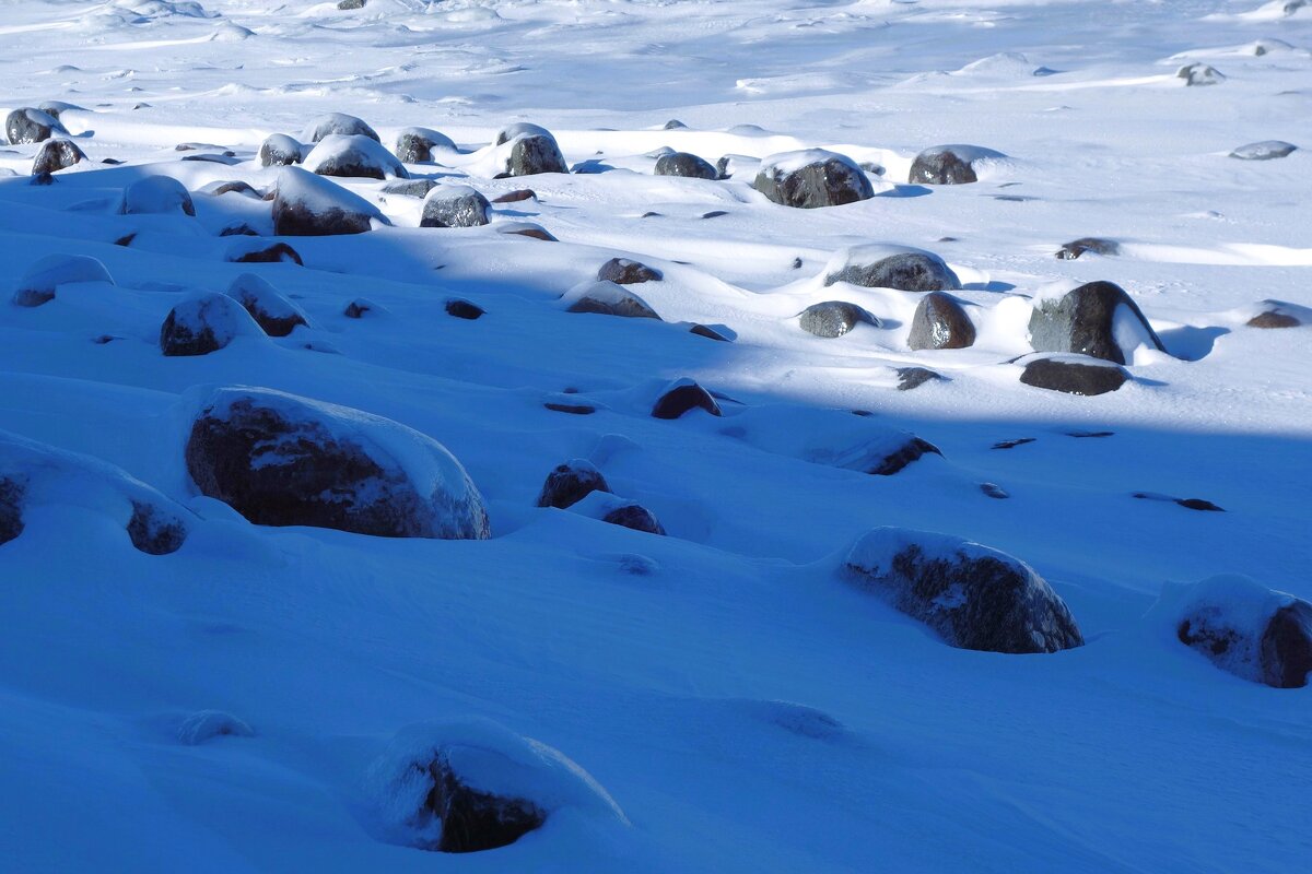 Февраль, Балтийское море и побережье, Калининградская область - Рита Симонова