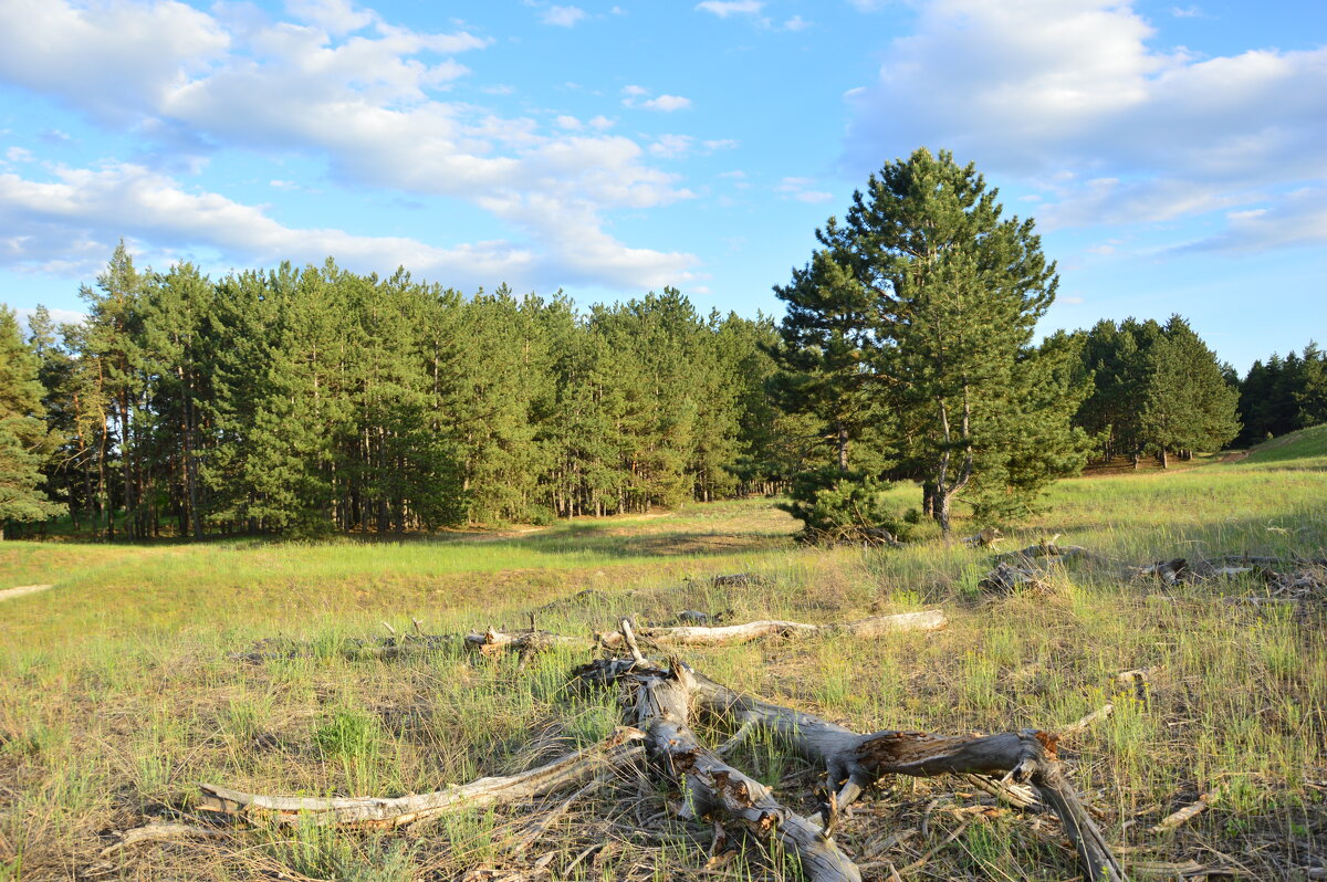 :**** - Виктор 