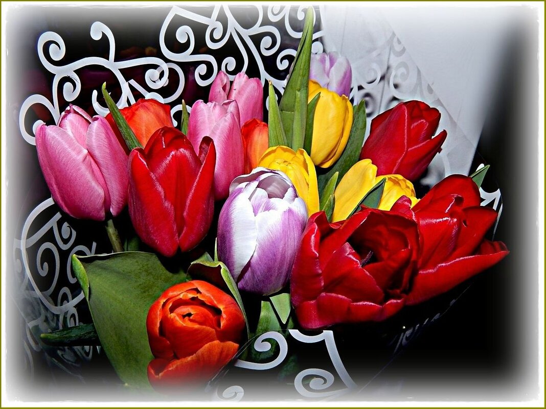 Букет тюльпанов ... - Валентина Надсон