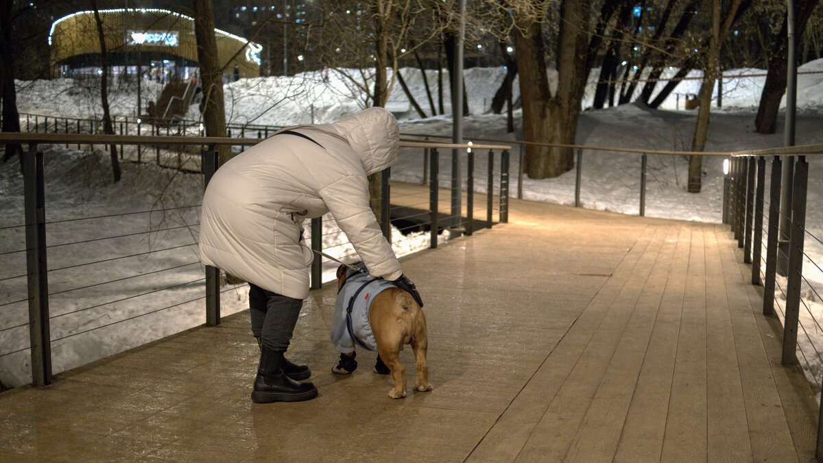 Дама с Собачкой - юрий поляков