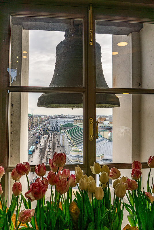 На Думской башне - Ирина Соловьёва