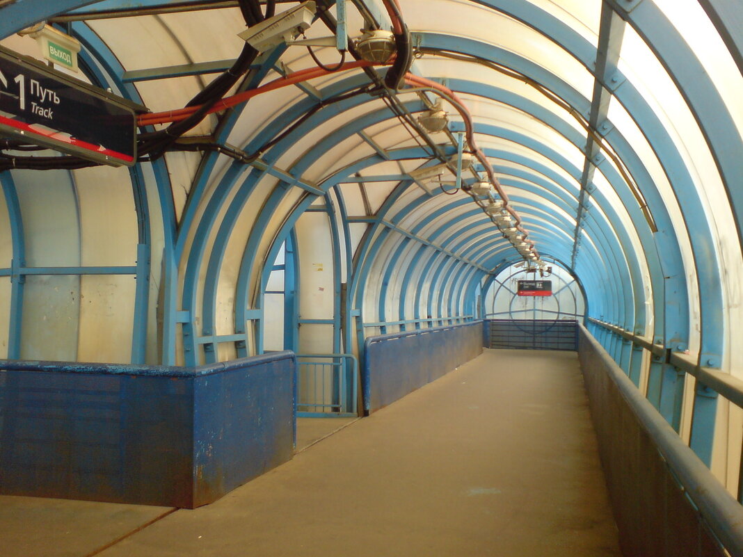 Белоостровская геометрия - Not Lion