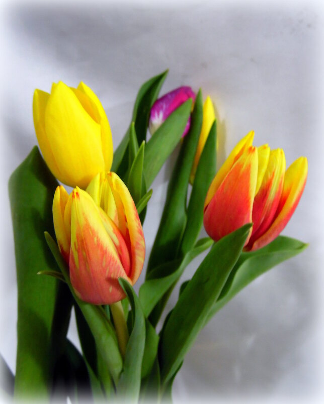 С наступающим ,  милые женщины. - nadyasilyuk Вознюк