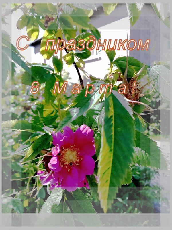 С праздником! - Фотогруппа Весна