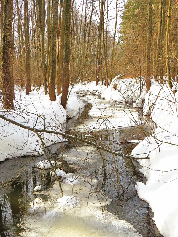 Убегает вдаль - Андрей Снегерёв
