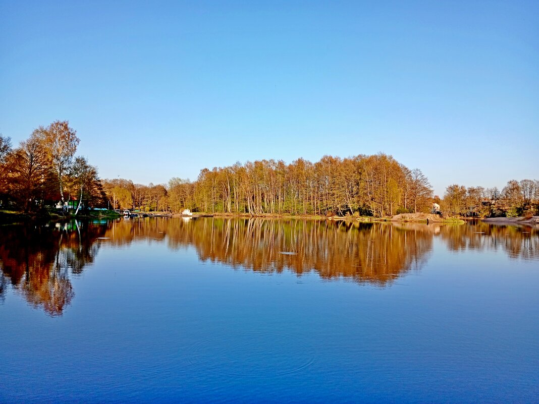 Весенние отражения... - Лия ☼