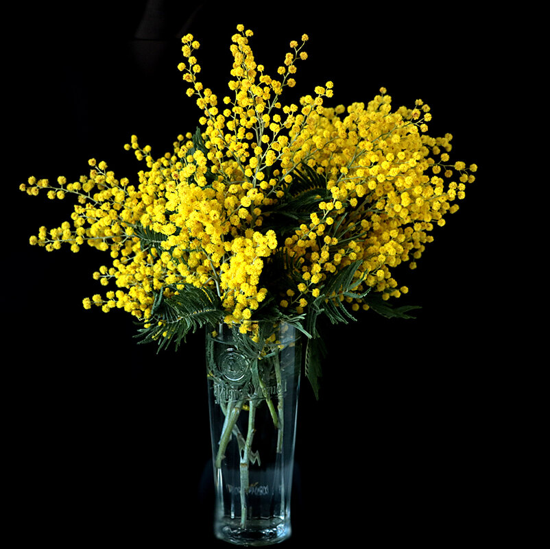 Весна идёт! - Светлана 