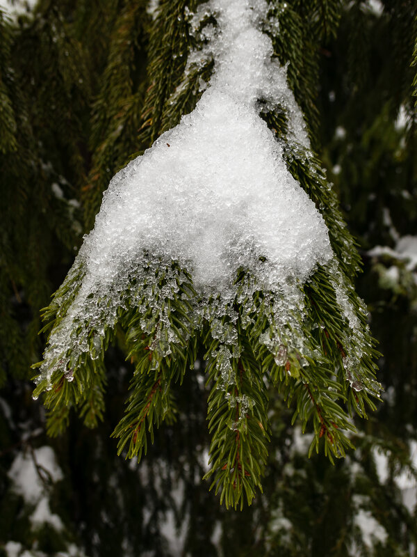 Потеплело. - Игорь Викторов