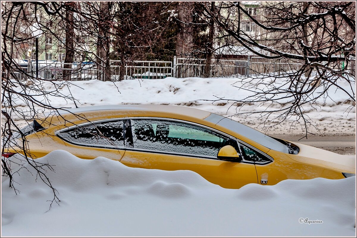 Про март... - Aquarius - Сергей