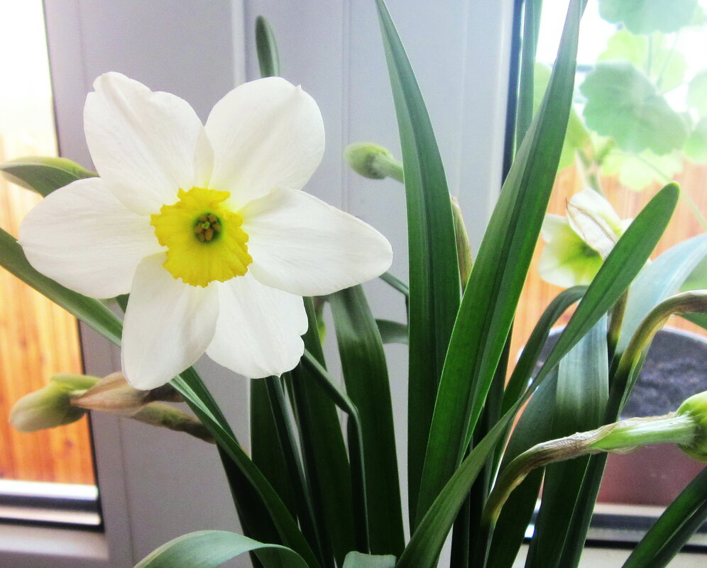 Милых женщин поздравляю с днем 8 Марта - Татьяна Р 