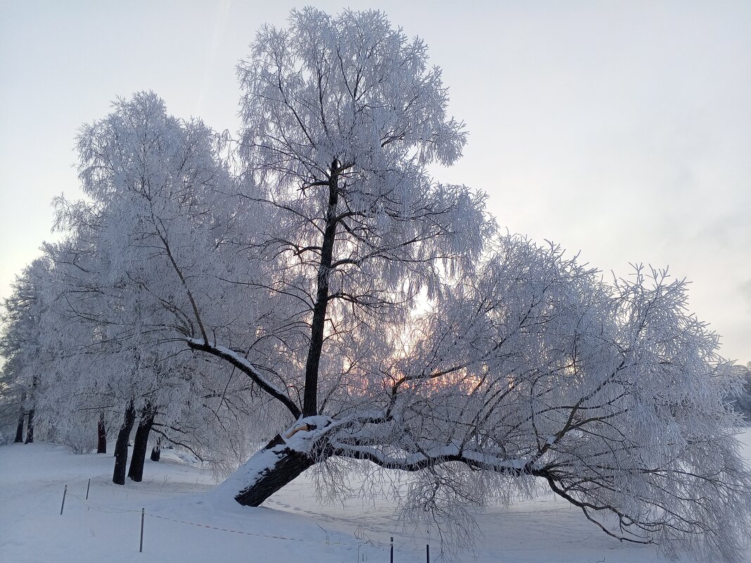Рассвет - Сапсан 
