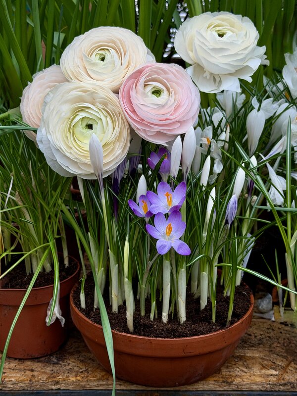 Весенники) - Любовь 