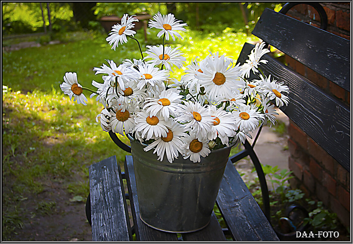 Ромашек много не бывает. - Александр Дмитриев