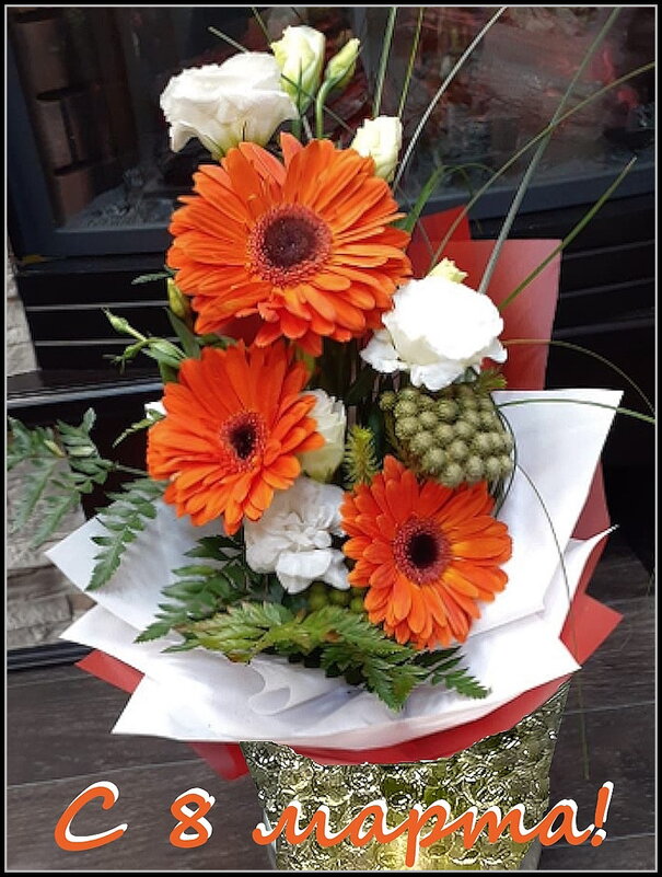 Милым женщинам! - Ольга Довженко