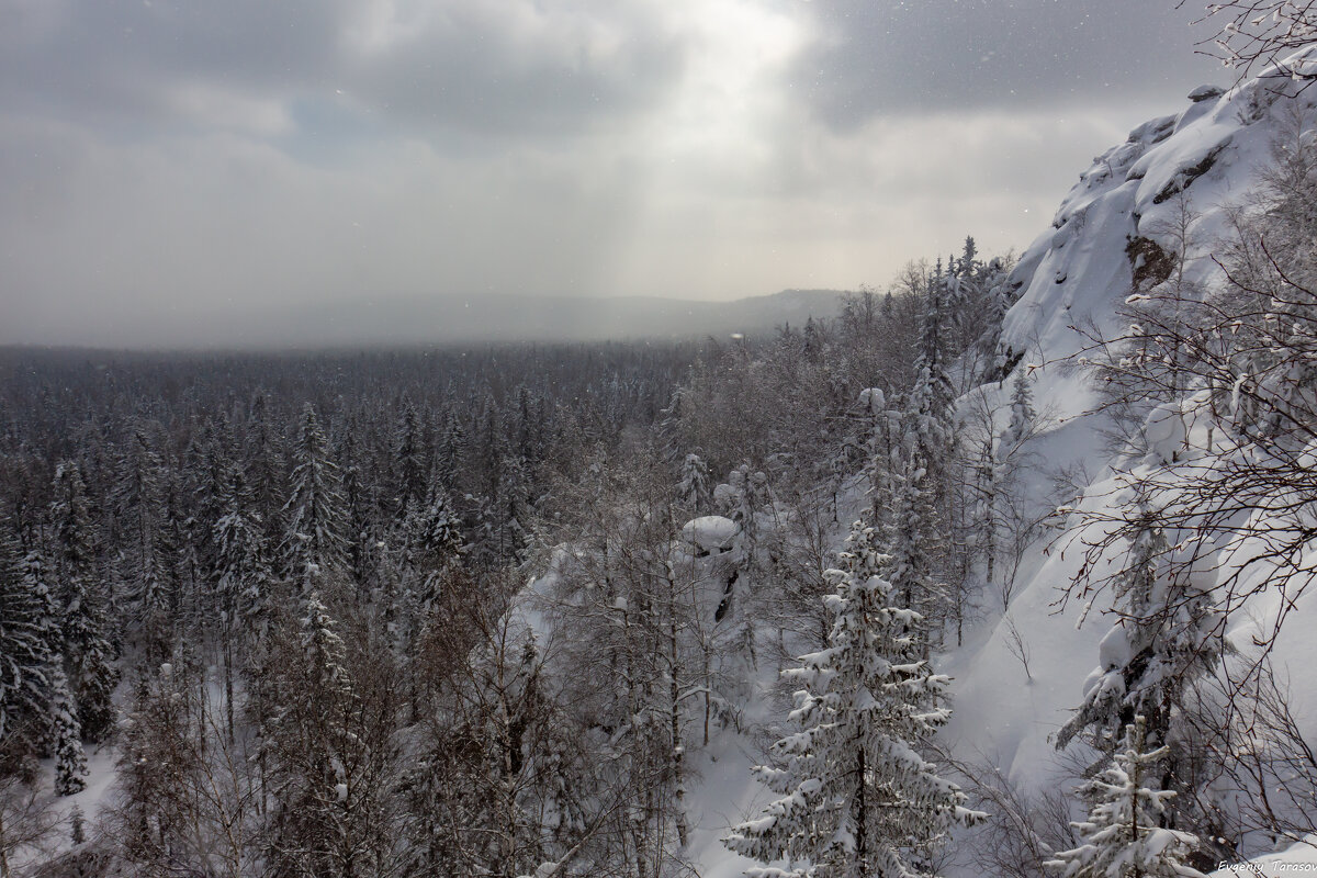 Снежный день - Евгений Тарасов 