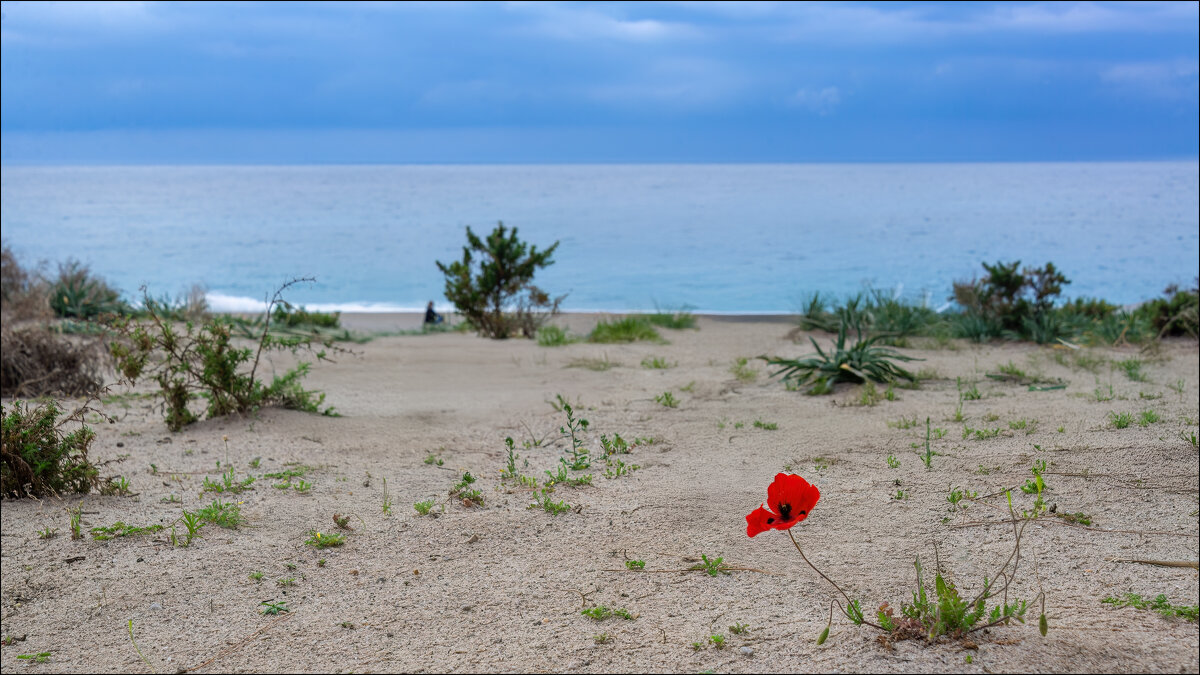 Весна - **** vedin