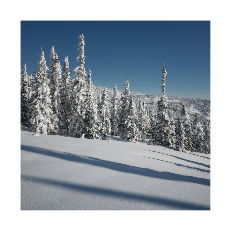 * - Александр Иванов