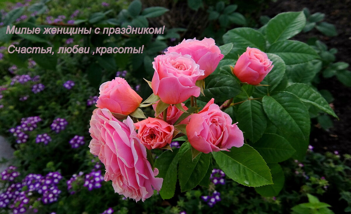 С праздником! - Люба 