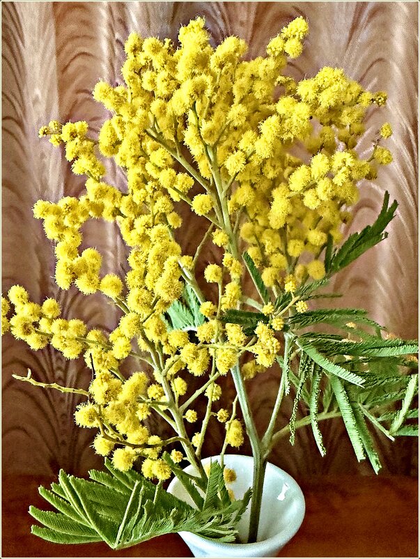 С ПРАЗДНИКОМ! - Валерия Комова