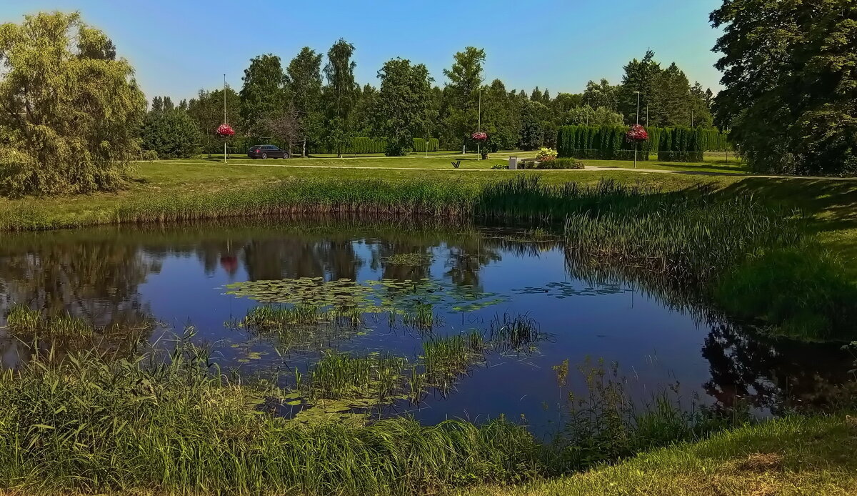 Прогулка у пруда .. - Татьян@ Ивановна