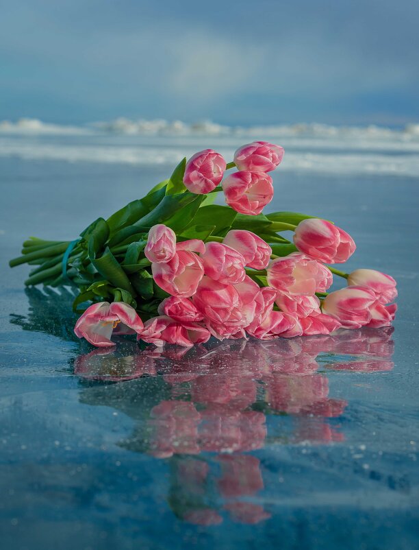 Тюльпаны на льду Байкала. - Павел Крутенко