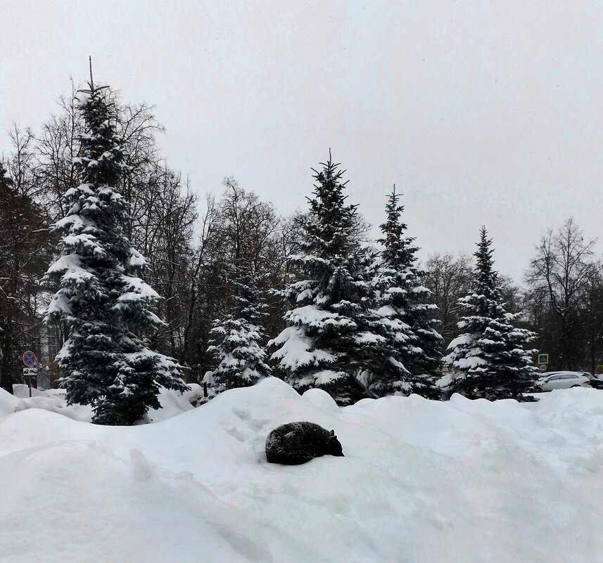 *** - Валентина Береснева