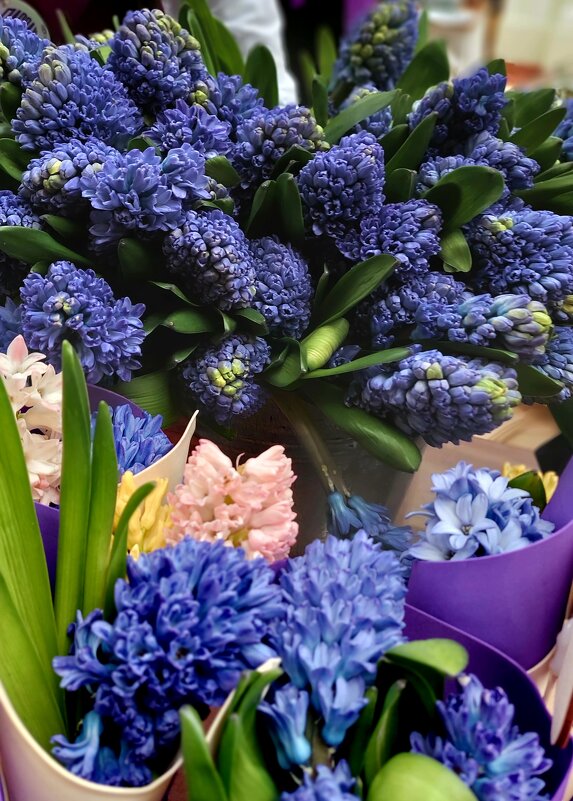 С праздником! - ИРЭН@ .